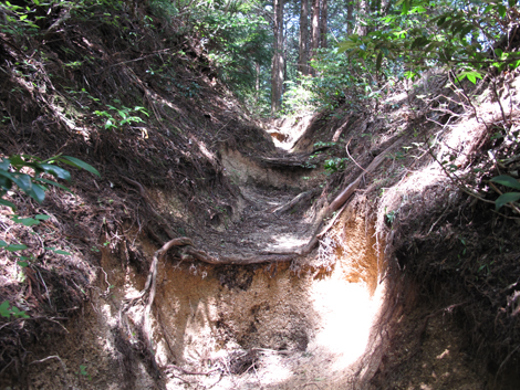 20140502hike (65)